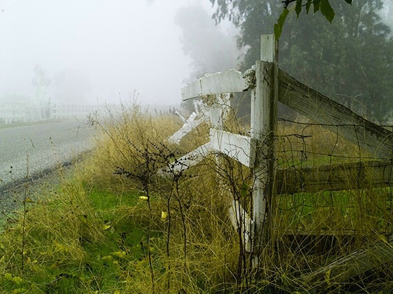 Fence in the Fog