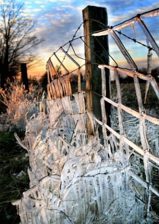 Icicle Fence