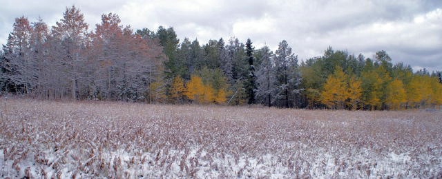 Autumn in Wyoming