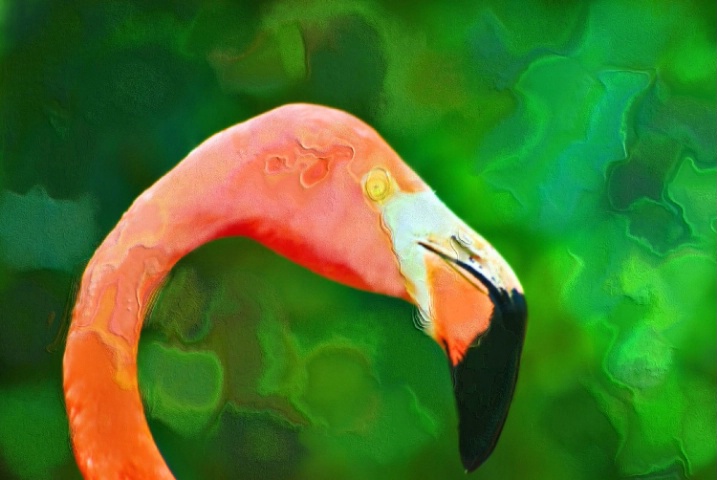 Flamingo - Chalk then Soft Plastic