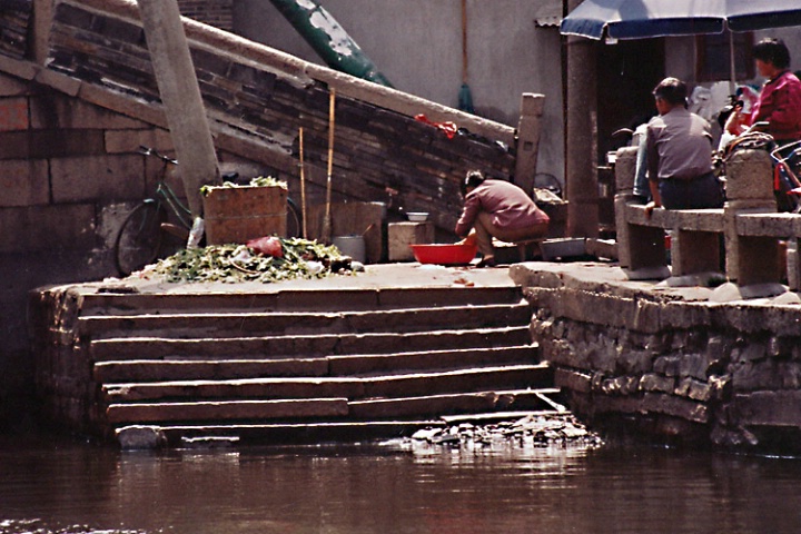 Offal from fresh kill_Grand Canal. 