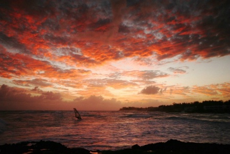 Lone windsurfer