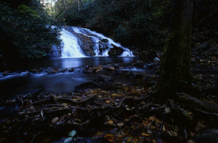 Deep Creek - Great Smoky Mountains N.P. - N.C. - ID: 3127473 © Larry Lightner