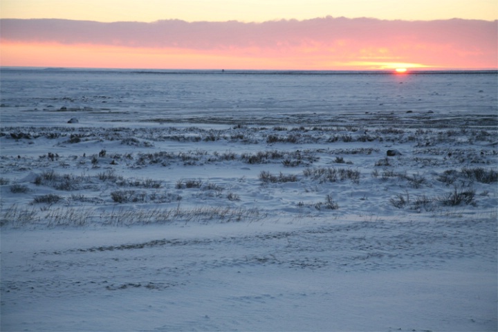 Sunrise on the Tundra at Gordon Point - ID: 3128301 © Emile Abbott
