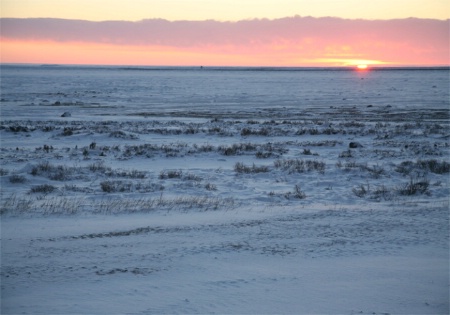 Sunrise on the Tundra at Gordon Point