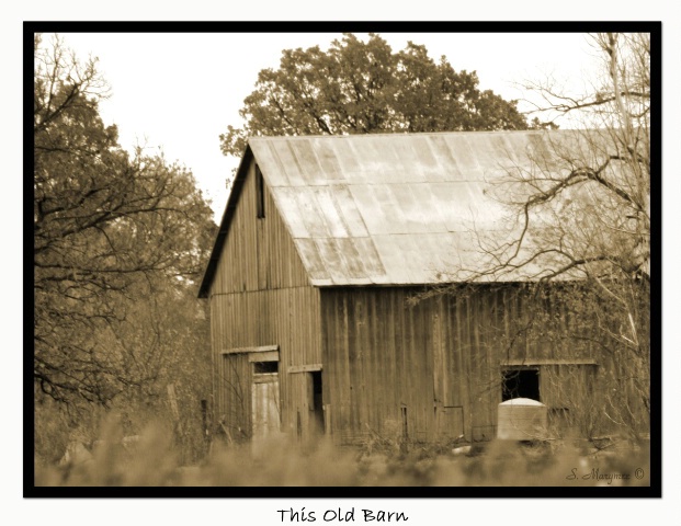This Old Barn