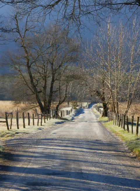 Cade's Cove 2