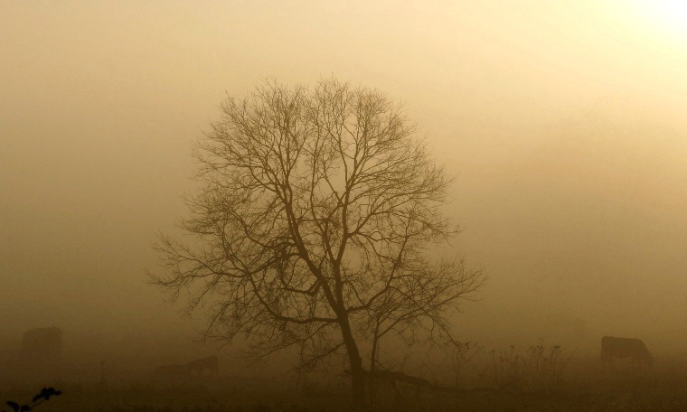 Natural Sepia