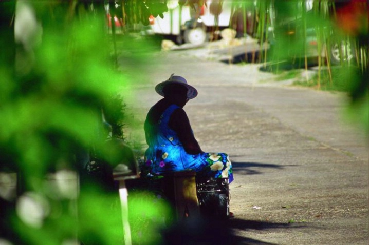 Waiting in the Shade - ID: 3148413 © Deborah A. Prior