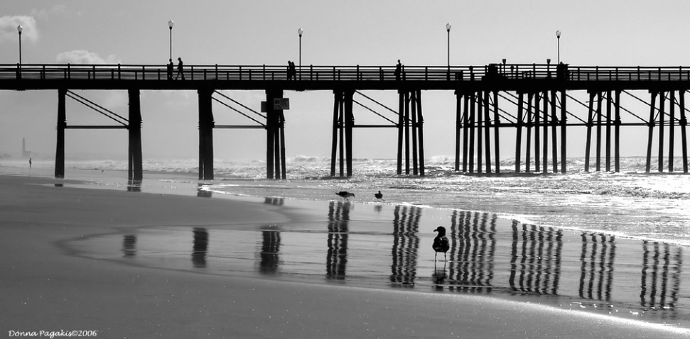 A Day at the Pier 