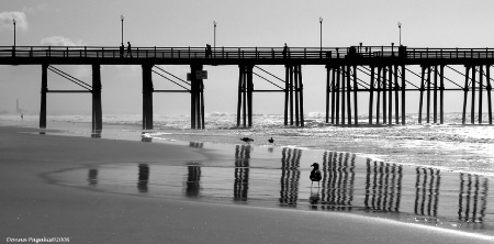 A Day at the Pier 