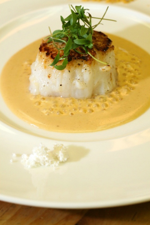 Divers Scallop in melon seed milk