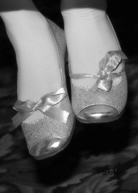 silver slippers