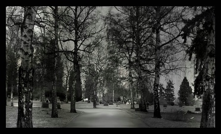 A graveyard walk