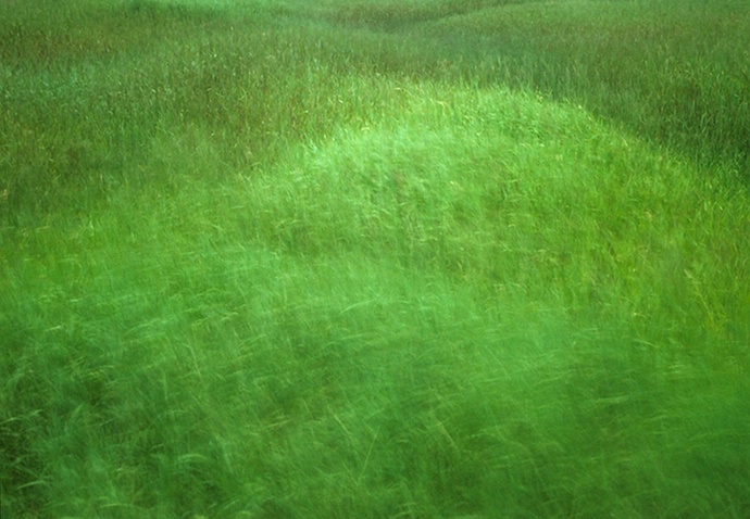 Grass move