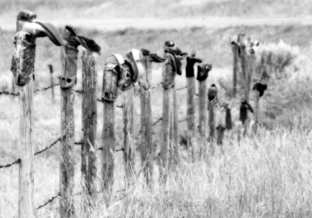 THE BOOT FENCE