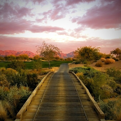 Evening Cart Path