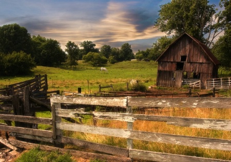 Indiana Pasture