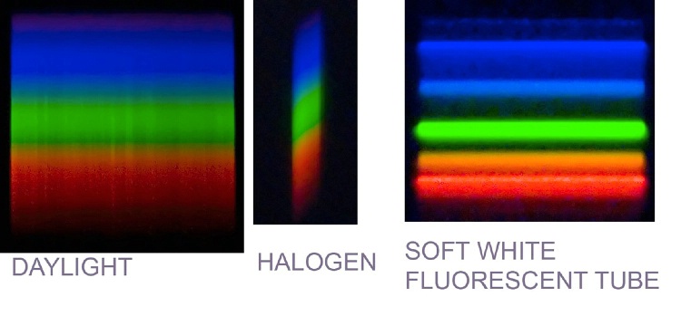 Spectrometer displays of various light sources.