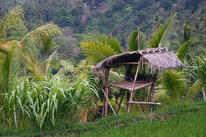 sun shelter