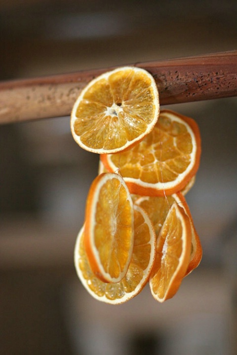 orange closeup