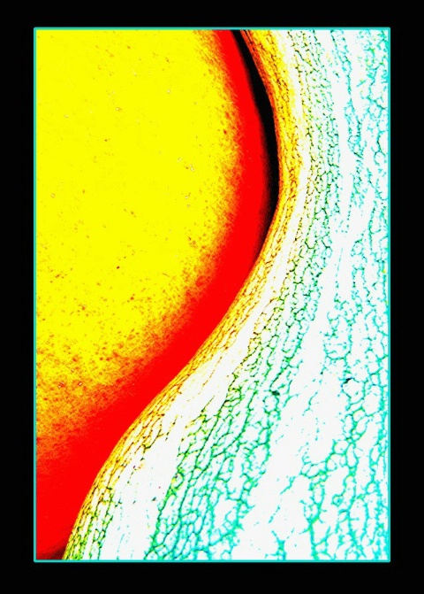img8