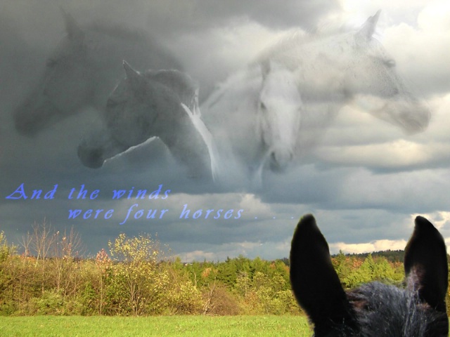 And the Horses Were Four Winds . . .