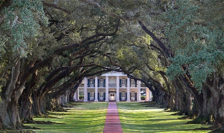 Oak Alley Plantation