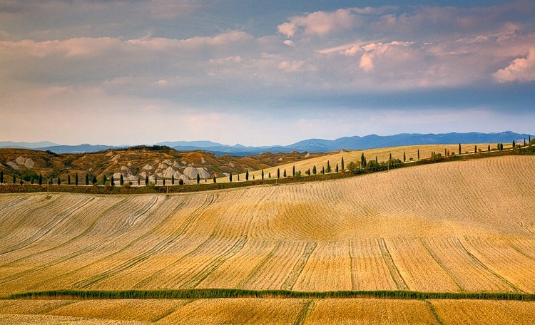 Tuscany Painting