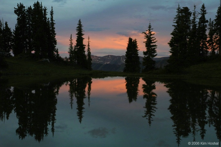 Pine Tree Reflections, Paradise Divide