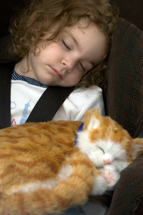 Savannah & Kitty Kitty