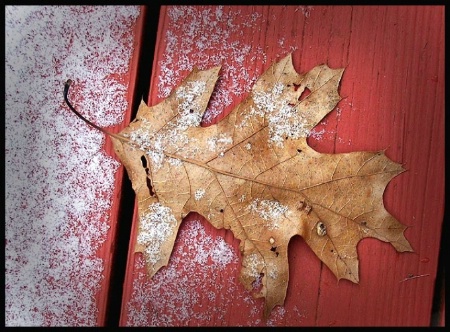 First Snow