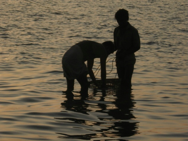Two fishermen washing fishes