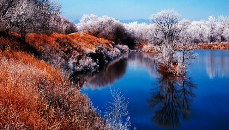 Fountain Creek Park Reflections