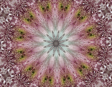 kaleidoscope mum