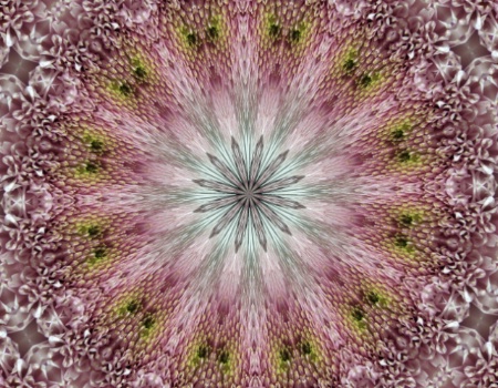 kaleidoscope mum