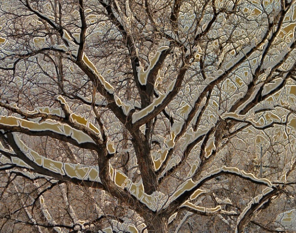 Giraffe Branches