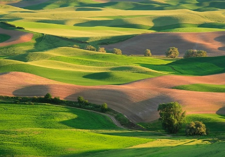 Palouse Patchwork