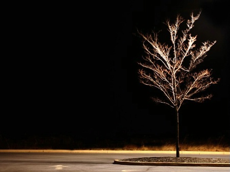 Target Tree