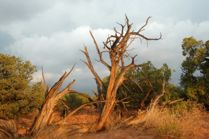 Storm Clouds