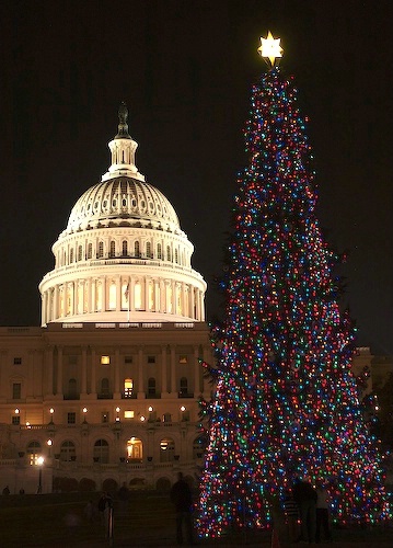 Christmas Tree at the Capital Washington DC