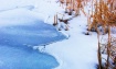 Frozen Pond