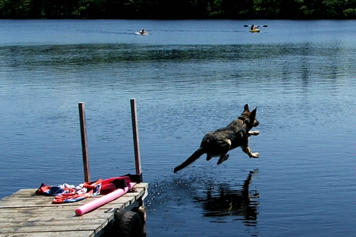 Go Jump in the Lake!