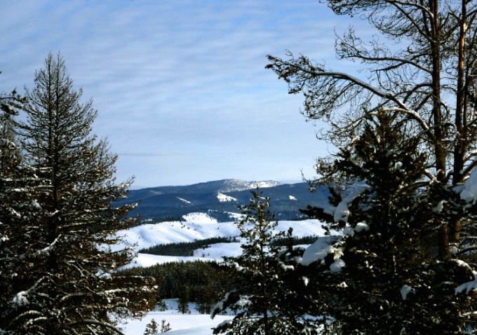 Snowy Hills