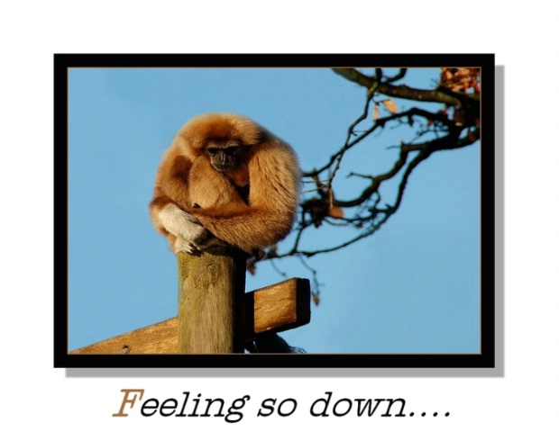 I'm feeling so down:(