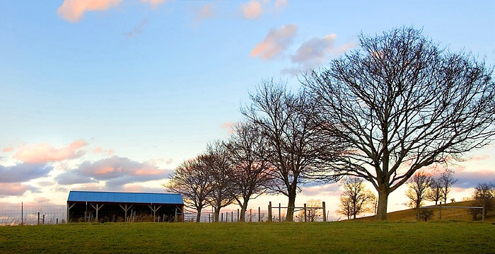 lone shed on farmscape