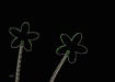 Spring Flowers -2