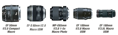 Canon macro lenses