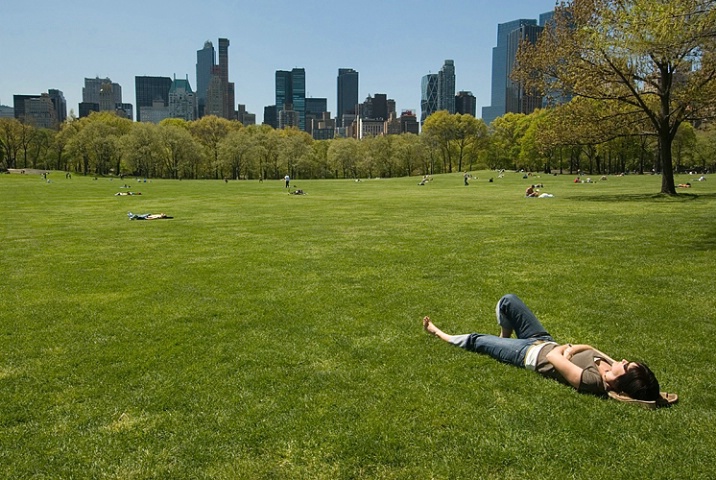Relaxing at Sheep Meadow