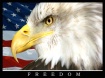 FREEDOM Eagle